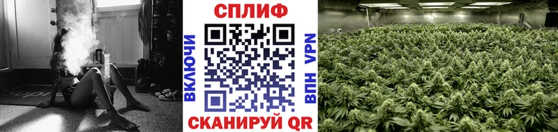 Какие есть наркотики Аргун ГАШИШ Кокаин МЕФ ссылка на мегу Марихуана МЕТАДОН