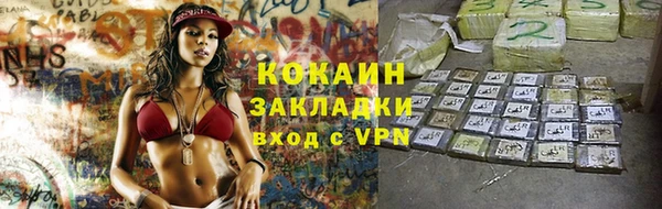 соль ск Алзамай