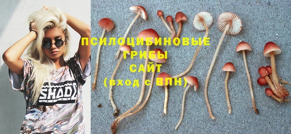 соль ск Алзамай