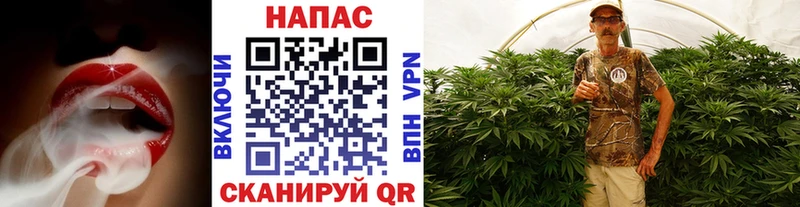 Каннабис Amnesia Аргун